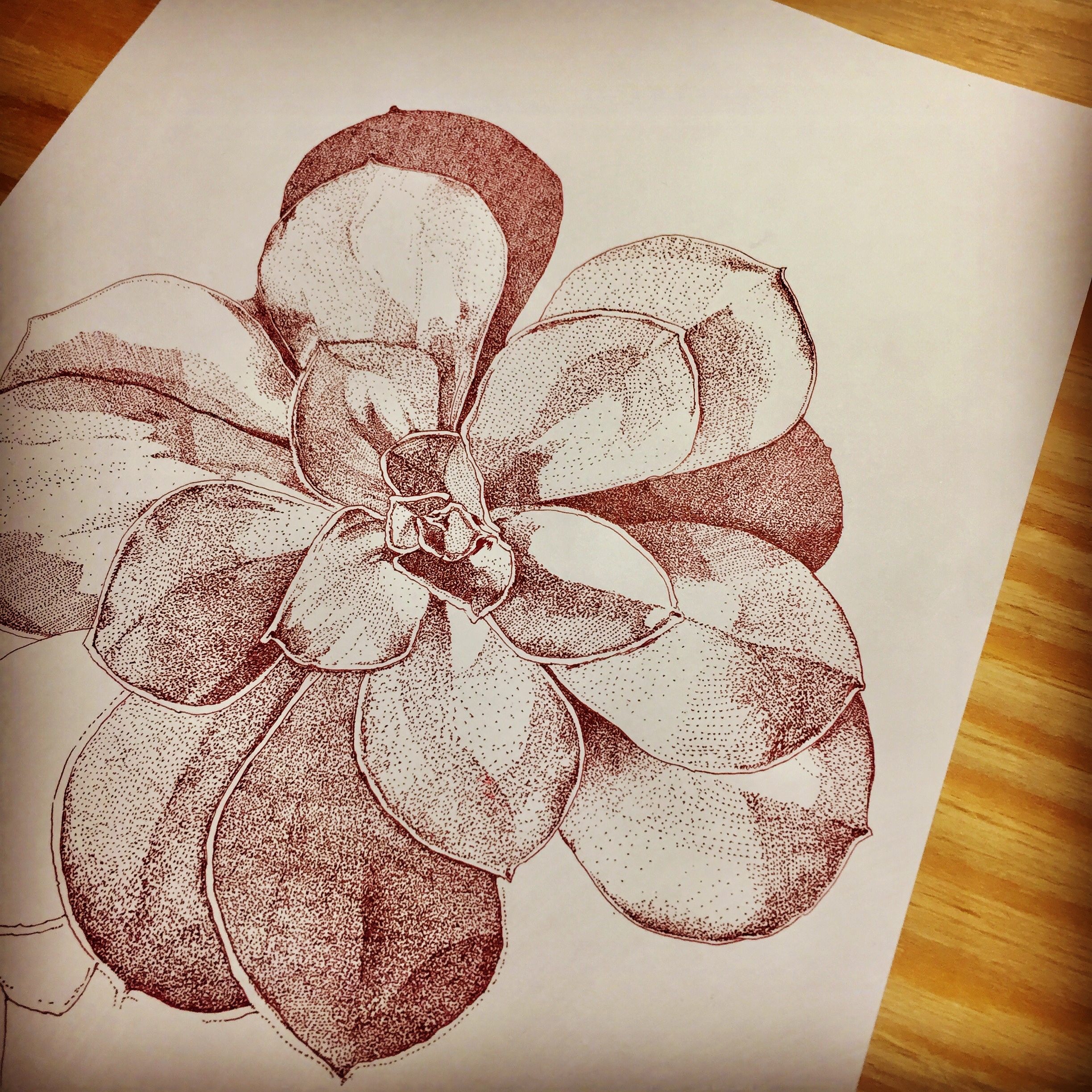 花の絵です 点描花、白梅、コロコロ – ナンシー諸善 nancy syozen art works